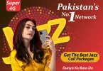 1 Day Jazz Call Package - Sim Packages