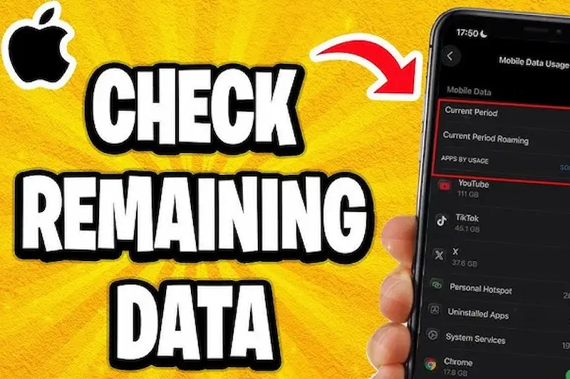 How to Check Remaining Data