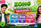 Whatsapp Monthly Package Zong