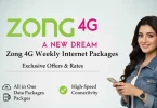 Zong Net Packages