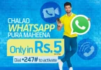 Whatsapp Telenor Package