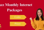 jazz net package monthly