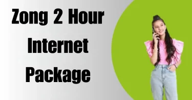 zong 2 hour internet package